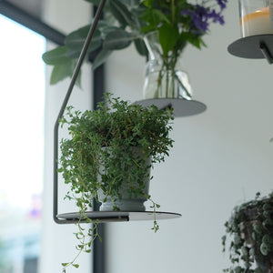 フラワーベースなどをのせてディスプレイを楽しむ PLOP HANGING PLATE（プロップ ハンギングプレート）