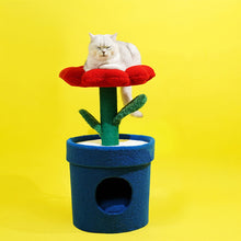 画像をギャラリービューアに読み込む, 植物の形をしたペットのお家 POT PET HOUSE
