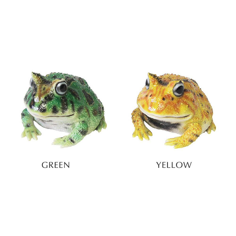 ベルツノガエルのリアルな生きもの造形マグネット REPTILES MAG HORNED