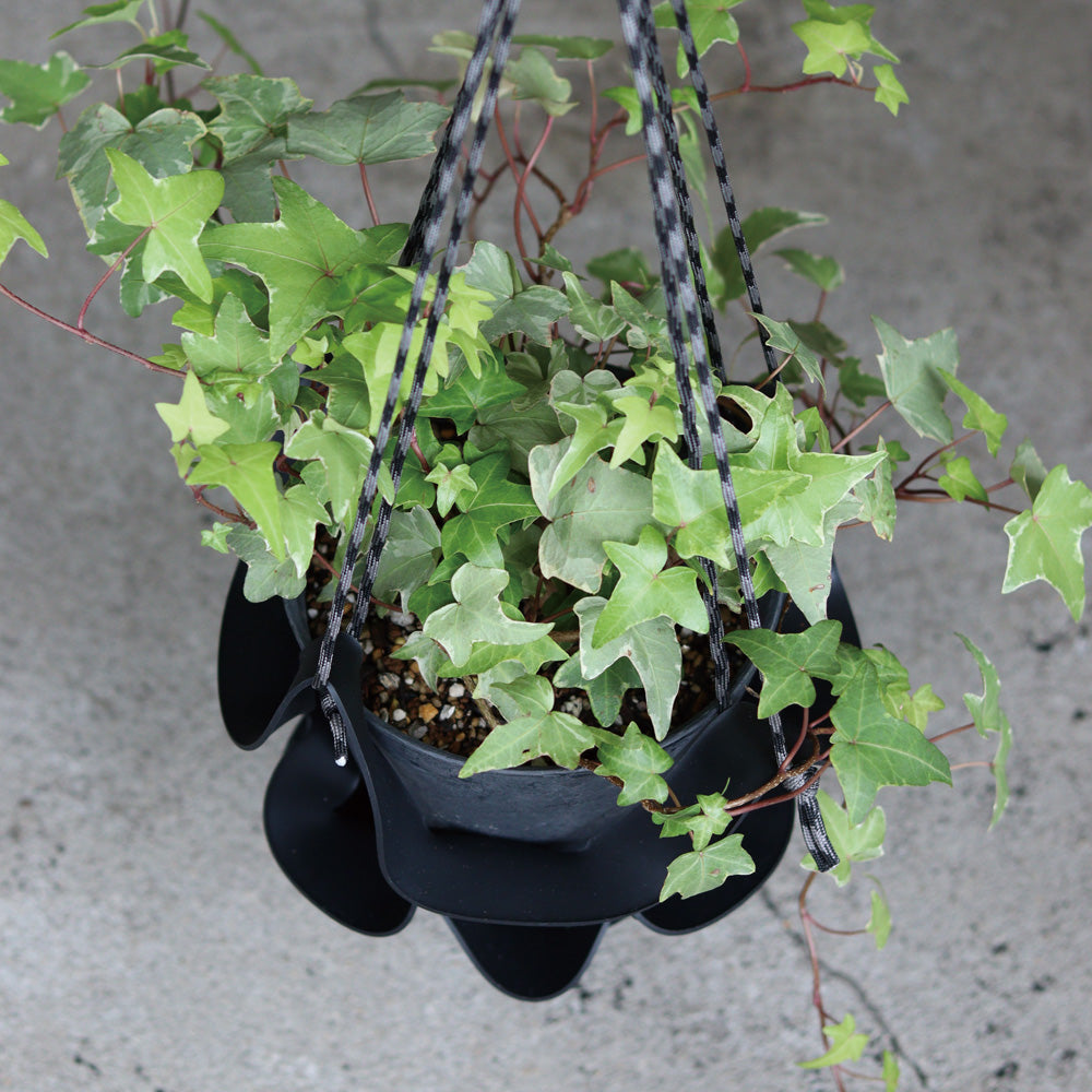 ラバー素材とパラコードを組み合わせたプラントハンガー RUBBER POT