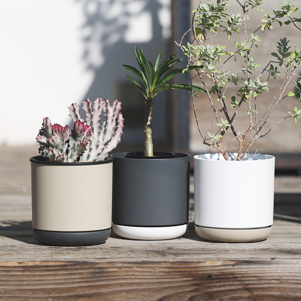 リサイクルの輪が未来を育む 100%リサイクルポット SGI（エスジーアイ