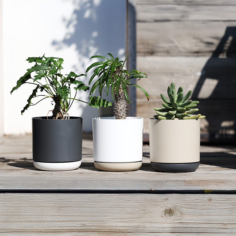 激レア　earnest hearts pot volt type-RE 植木鉢 激レア earnest hearts pot volt type-RE 植木鉢 2025年最新