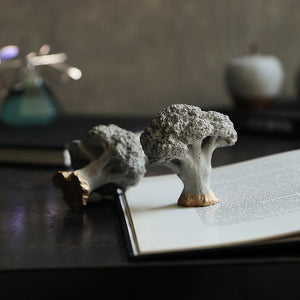 【予約商品】有機質と無機質を組み合わせたブロッコリーのオブジェ Siena（シエナ）