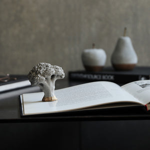 【予約商品】有機質と無機質を組み合わせたブロッコリーのオブジェ Siena（シエナ）