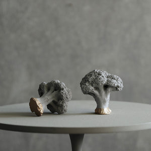 【予約商品】有機質と無機質を組み合わせたブロッコリーのオブジェ Siena（シエナ）