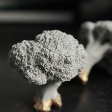 画像をギャラリービューアに読み込む, 【予約商品】有機質と無機質を組み合わせたブロッコリーのオブジェ Siena（シエナ）
