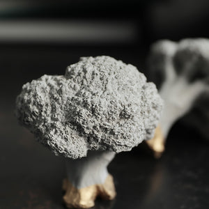 【予約商品】有機質と無機質を組み合わせたブロッコリーのオブジェ Siena（シエナ）