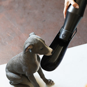 取っ手付きで持ちやすくボタン一つで注ぐ量を調整できる水筒 Sleek Bottle（スリークボトル）