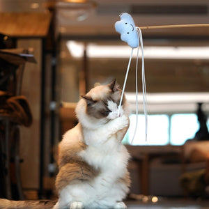 猫を誘惑する星空の猫じゃらし STARRY SKY CAT PLAYING ROD