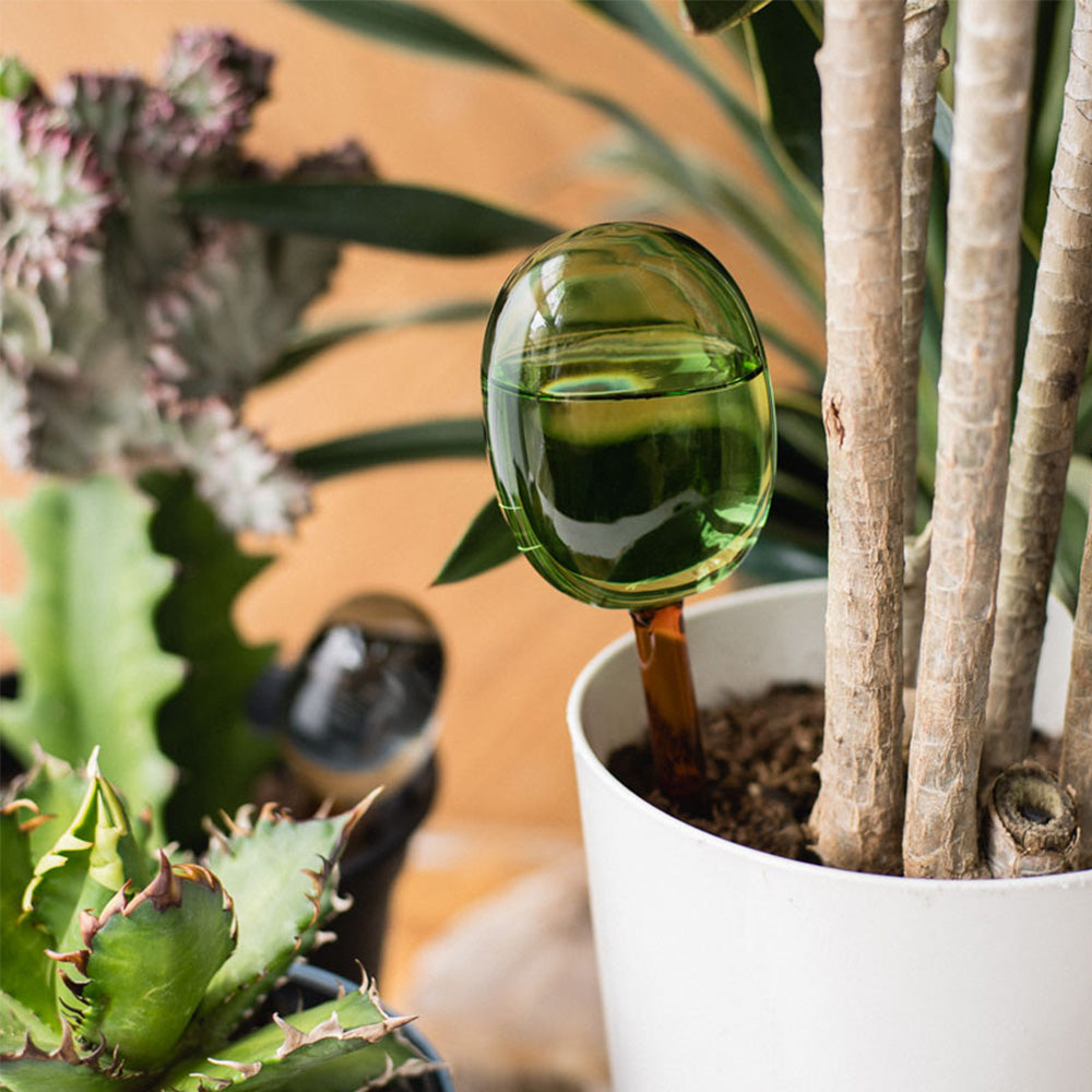 ガーデン – MAG. online shop