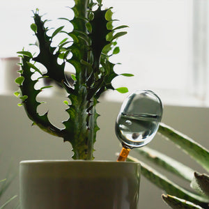 水やり後、土の水分が不足したら自動的に水が排出される TWO TONE WATER DISPENSER（ツートーン ウォーター ディスペンサー）