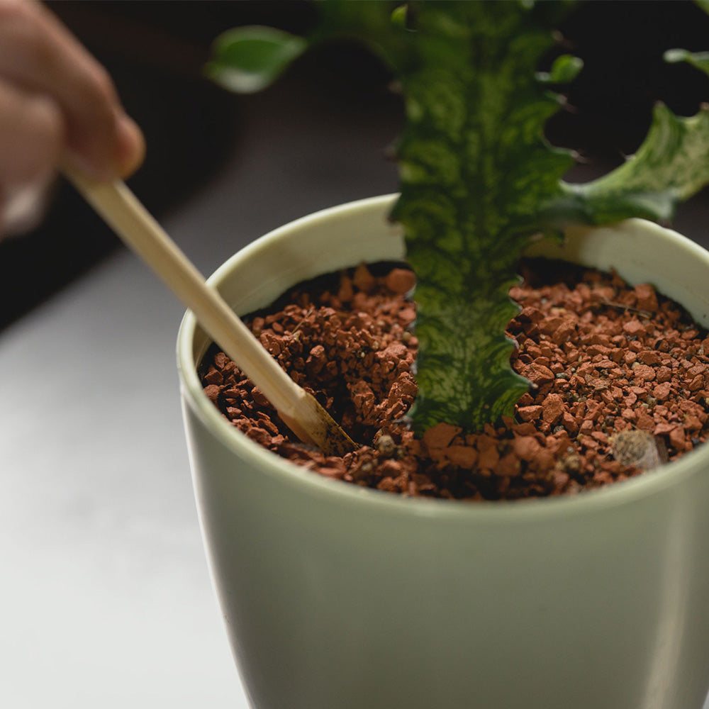 水やり後、土の水分が不足したら自動的に水が排出される TWO TONE