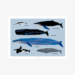 シルクスクリーンのように鮮やかな WARMGREY TAIL の ポスター