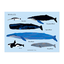 画像をギャラリービューアに読み込む, イラストに沿って型抜かれているホワイトコーティングステッカー WARMGREY TAIL の STICKER（ステッカー）
