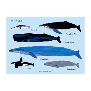 イラストに沿って型抜かれているホワイトコーティングステッカー WARMGREY TAIL の STICKER（ステッカー）