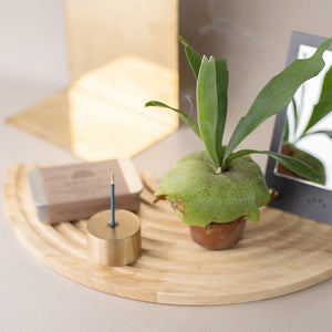 ART STONE用プランターカバー WOOD CIRCLE TRAY（ウッド サークル トレイ）