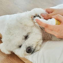 画像をギャラリービューアに読み込む, 散歩後いつでもどこでも綺麗に洗える PETHROOM ゼロウォーターレスシャンプー
