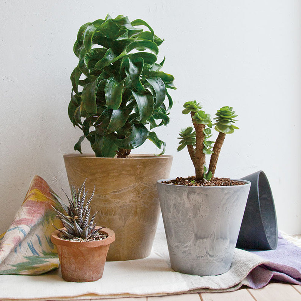 自然環境に近い状態を表現できるプランター ART STONE（アートストーン