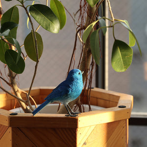 リアルなブルーバードのオブジェ BIRDIE BILL BLUE BIRD（バーディ ビル ブルーバード）