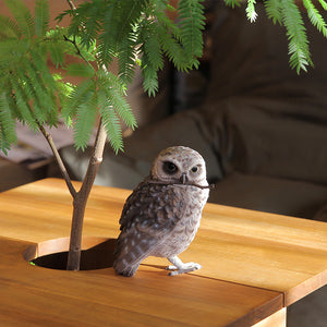 リアルなアナホリフクロウのオブジェ BIRDIE BILL BURROWING OWL（バーディ ビル バーローイングオウル）