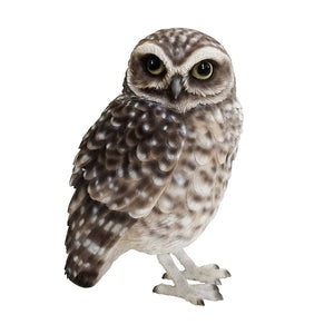 リアルなアナホリフクロウのオブジェ BIRDIE BILL BURROWING OWL（バーディ ビル バーローイングオウル）