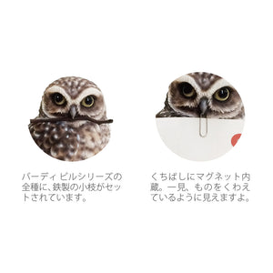 リアルなアナホリフクロウのオブジェ BIRDIE BILL BURROWING OWL（バーディ ビル バーローイングオウル）