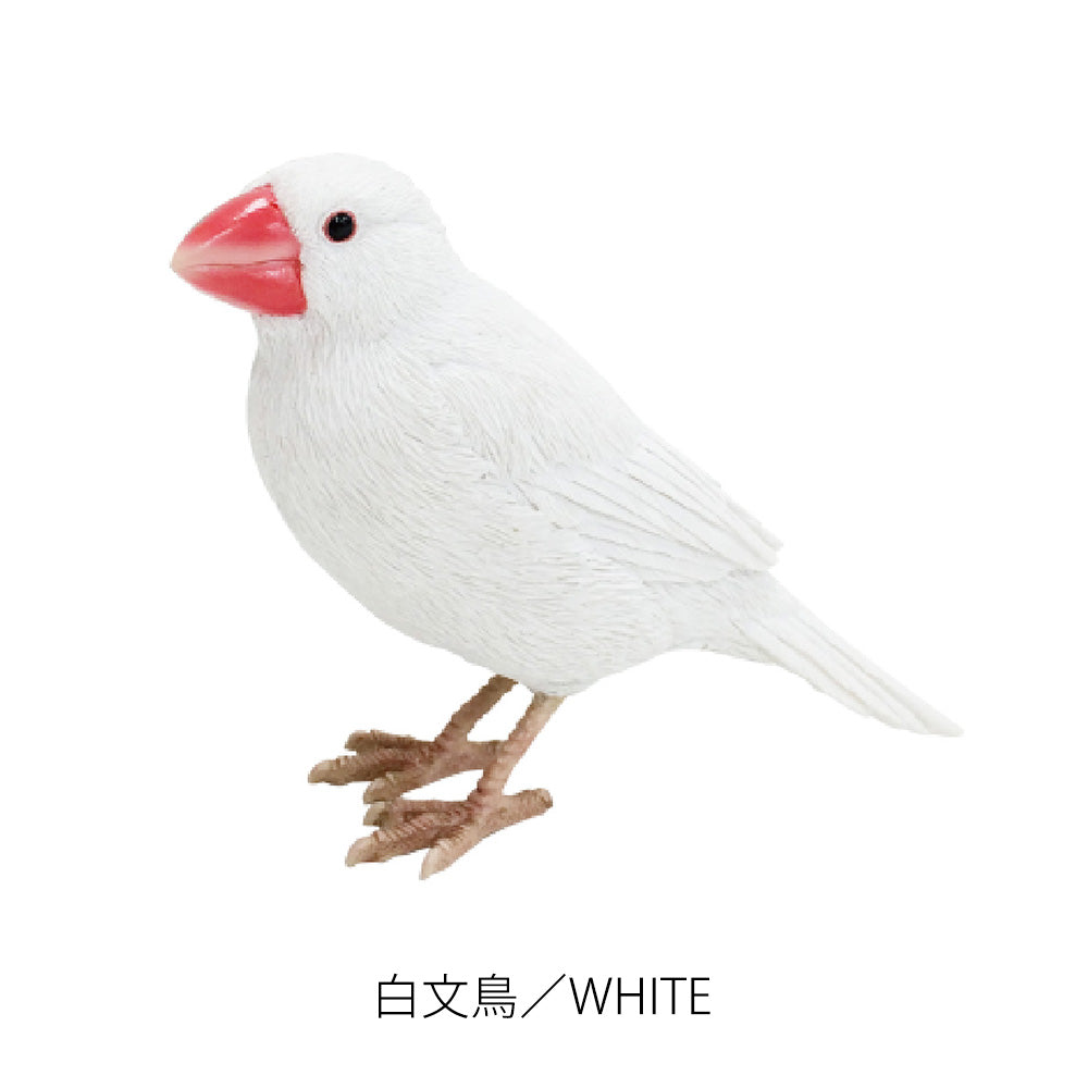 白い鳥 リアルな文鳥のオブジェBIRDIE BILL JAVA SPARROW（バーディ ビル
