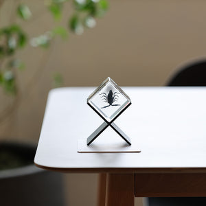 【58％OFF！】立体的に眺めることができる昆虫標本 Casimir（カシミール）