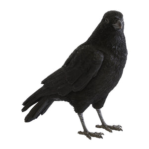 ハシボソガラスのお役立ち貯金箱 PET BANK CARRION CROW（ペットバンク キャリオン クロウ）