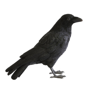ハシボソガラスのお役立ち貯金箱 PET BANK CARRION CROW（ペットバンク キャリオン クロウ）