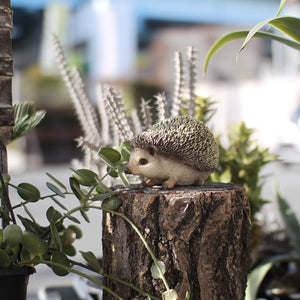 ハリネズミのお役立ち貯金箱 PET BANK HEDGEHOG（ペットバンク ヘッジホッグ）