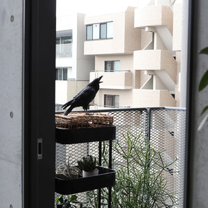ハシブトガラスのお役立ち貯金箱 PET BANK JUNGLE CROW（ペットバンク ジャングル クロウ）