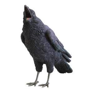 ハシブトガラスのお役立ち貯金箱 PET BANK JUNGLE CROW（ペットバンク ジャングル クロウ）