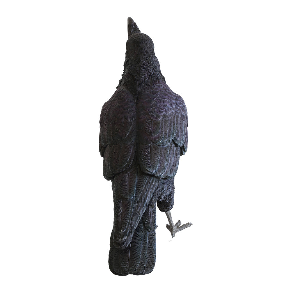 ハシブトガラスのお役立ち貯金箱 PET BANK JUNGLE CROW（ペット