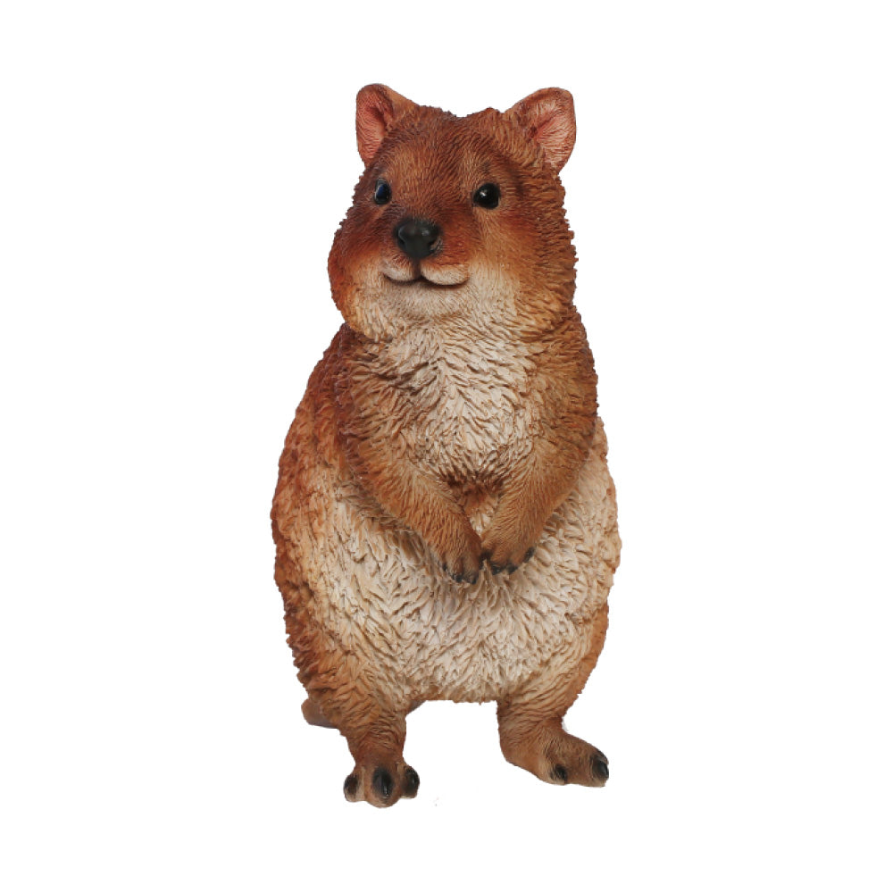 クアッカのお役立ち貯金箱 PET BANK QUOKKA（ペットバンク クアッカ