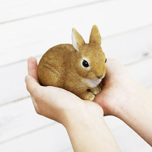 ウサギのお役立ち貯金箱 PET BANK RABBIT（ペットバンク ラビット）