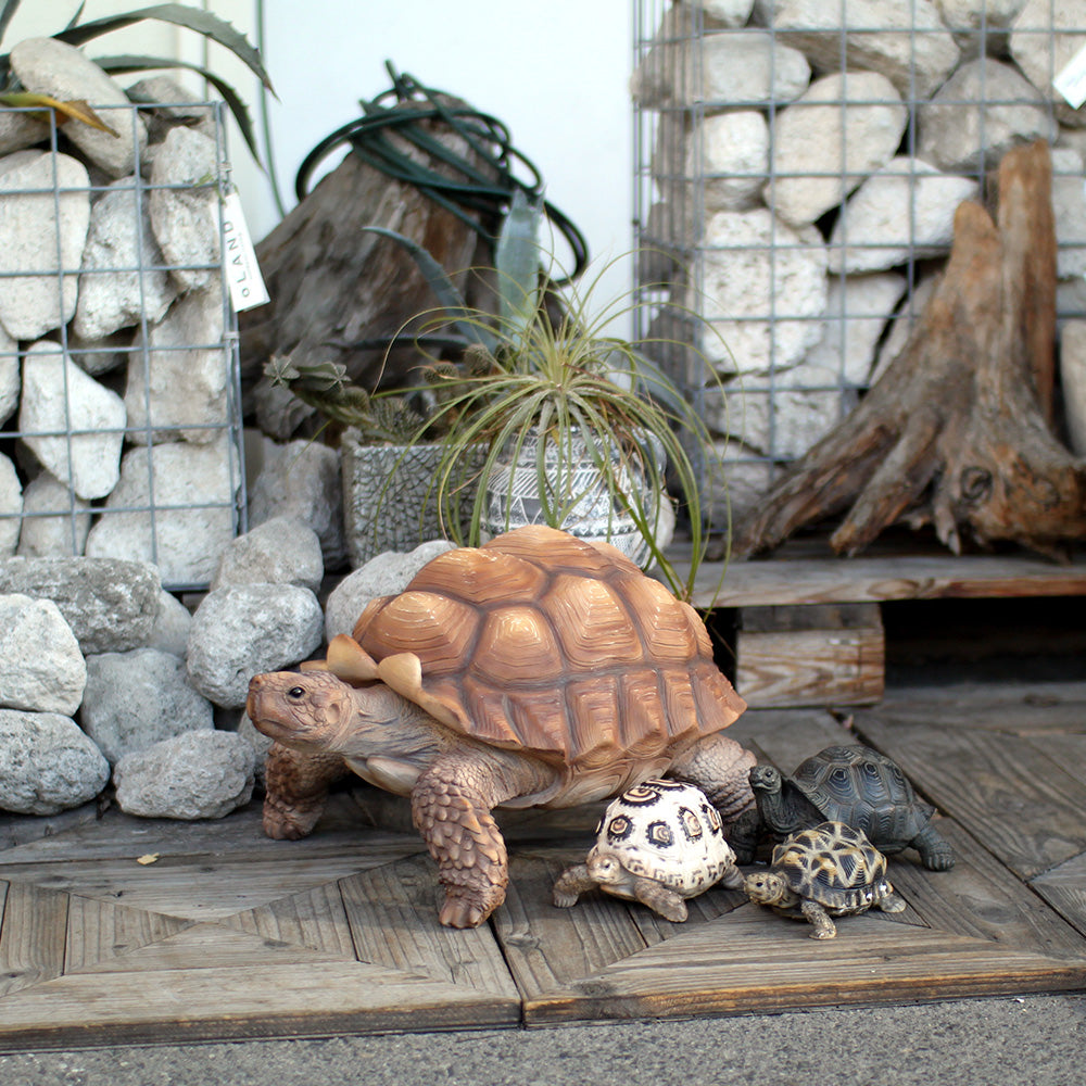 大きなケヅメリクガメのお役立ち貯金箱 PET BANK SPURRED TORTOISE MOM（ペットバンク スパード トータス マム） –  MAG. online shop