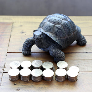 リクガメのお役立ち貯金箱 PET BANK TORTOISE（ペットバンク トータス）