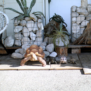リクガメのお役立ち貯金箱 PET BANK TORTOISE（ペットバンク トータス）