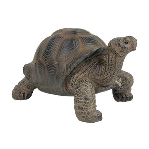 リクガメのお役立ち貯金箱 PET BANK TORTOISE（ペットバンク トータス）