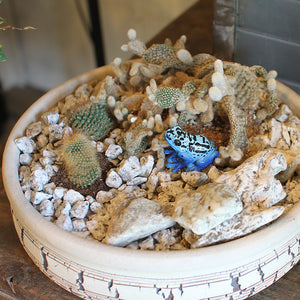 コバルトヤドクガエルのリアルな生きもの造形マグネット REPTILES MAG BLUE POISON DART FROG（レプタイルズ マグ ブルー ポイズンダートフロッグ）