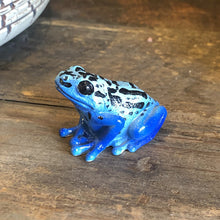 画像をギャラリービューアに読み込む, コバルトヤドクガエルのリアルな生きもの造形マグネット REPTILES MAG BLUE POISON DART FROG（レプタイルズ マグ ブルー ポイズンダートフロッグ）
