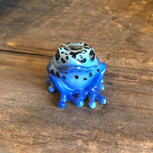 コバルトヤドクガエルのリアルな生きもの造形マグネット REPTILES MAG BLUE POISON DART FROG（レプタイルズ マグ ブルー ポイズンダートフロッグ）