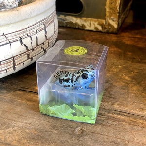 コバルトヤドクガエルのリアルな生きもの造形マグネット REPTILES MAG BLUE POISON DART FROG（レプタイルズ マグ ブルー ポイズンダートフロッグ）