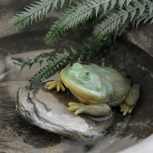 ヌメリのある艶がリアルなマルメタピオカガエルのマグネット REPTILES MAG BUDGETT'S FROG（レプタイルズ マグ バジェット フロッグ）