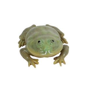 ヌメリのある艶がリアルなマルメタピオカガエルのマグネット REPTILES MAG BUDGETT'S FROG（レプタイルズ マグ バジェット フロッグ）