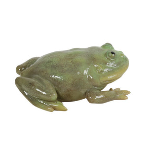 ヌメリのある艶がリアルなマルメタピオカガエルのマグネット REPTILES MAG BUDGETT'S FROG（レプタイルズ マグ バジェット フロッグ）