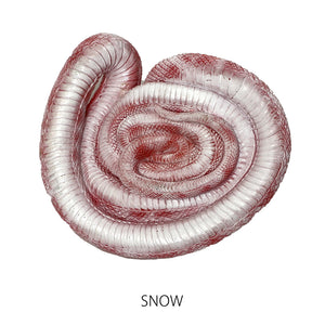 コーンスネークのリアルな生きもの造形マグネット REPTILES MAG CORN SNAKE（レプタイルズ マグ コーンスネーク）