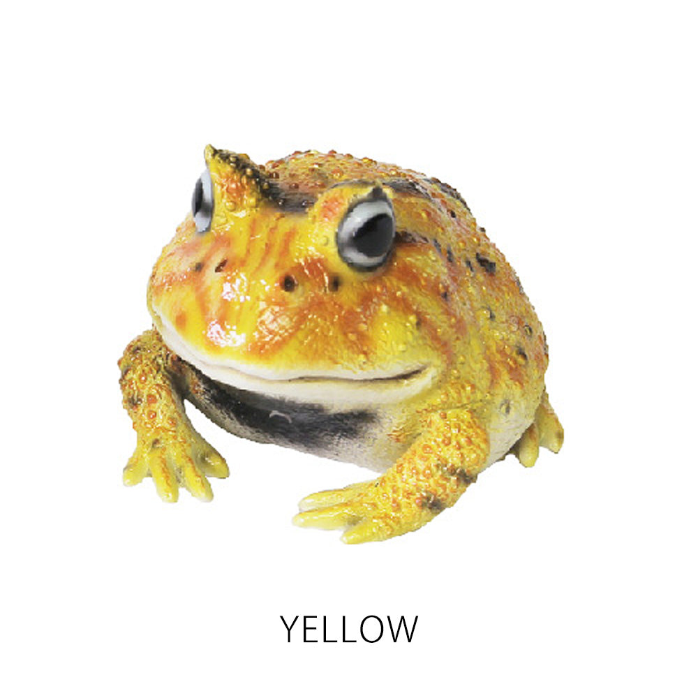 ベルツノガエルのリアルな生きもの造形マグネット REPTILES MAG HORNED FROG（レプタイルズ マグ ホーンドフロッグ）