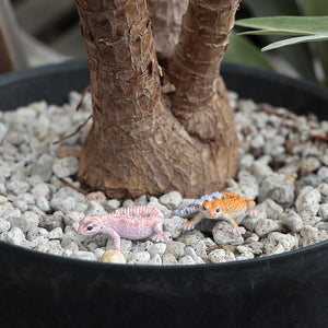 レオパード ゲッコー ベイビーのリアルな生きもの造形マグネット REPTILES MAG LEOPARD GECKO BABY（レプタイルズ マグ レオパード ゲッコー ベイビー）